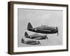 USAAF P-47 Thunderbolt Fighter Planes in Flight-null-Framed Photographic Print