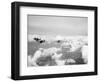 USAF P-47 Thunderbolts in Flight-null-Framed Photographic Print