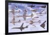 USAF Strategic Airplane Bombers Educational Military Chart Poster-null-Framed Poster