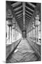 USC Hall_B&W-Chris Moyer-Mounted Photographic Print