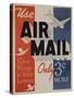 Use Air Mail, Give Wings to Your Letters. American Advertising Poster-null-Stretched Canvas