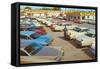 Used Car Lot, Lots of Fins-null-Framed Stretched Canvas