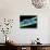 Used Dental Floss, SEM-Steve Gschmeissner-Stretched Canvas displayed on a wall