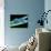 Used Dental Floss, SEM-Steve Gschmeissner-Photographic Print displayed on a wall