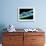 Used Dental Floss, SEM-Steve Gschmeissner-Framed Photographic Print displayed on a wall