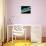 Used Dental Floss, SEM-Steve Gschmeissner-Mounted Photographic Print displayed on a wall
