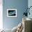 Used Dental Floss, SEM-Steve Gschmeissner-Framed Photographic Print displayed on a wall