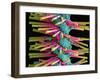 Used Interdental Brush, SEM-Steve Gschmeissner-Framed Photographic Print