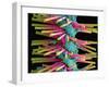 Used Interdental Brush, SEM-Steve Gschmeissner-Framed Photographic Print