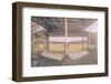 Used to Fly 3-null-Framed Photographic Print