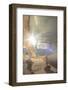 Used to Fly-null-Framed Photographic Print