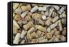 Used Wine and Champagne Corks-Yehia Asem El Alaily-Framed Stretched Canvas