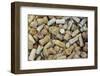 Used Wine and Champagne Corks-Yehia Asem El Alaily-Framed Photographic Print