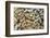 Used Wine and Champagne Corks-Yehia Asem El Alaily-Framed Photographic Print