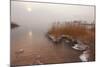 Usedom, Achterwasser, Reed, Frost-Catharina Lux-Mounted Photographic Print