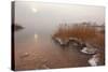 Usedom, Achterwasser, Reed, Frost-Catharina Lux-Stretched Canvas