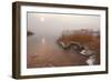 Usedom, Achterwasser, Reed, Frost-Catharina Lux-Framed Photographic Print