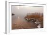 Usedom, Achterwasser, Reed, Frost-Catharina Lux-Framed Photographic Print