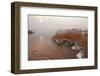 Usedom, Achterwasser, Reed, Frost-Catharina Lux-Framed Photographic Print