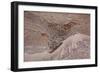 Usedom, Baltic Sea Beach, Escarpment with Sediment Layers-Catharina Lux-Framed Photographic Print