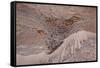 Usedom, Baltic Sea Beach, Escarpment with Sediment Layers-Catharina Lux-Framed Stretched Canvas