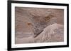 Usedom, Baltic Sea Beach, Escarpment with Sediment Layers-Catharina Lux-Framed Photographic Print