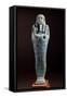 Ushabti Figurine of Nesbanebjed-null-Framed Stretched Canvas