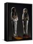 Ushabti of Nebenmaat Depicting Servant of Seat of Truth-null-Framed Stretched Canvas