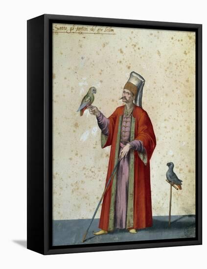 Usher to Great Selim with Parrots-Jacopo Ligozzi-Framed Stretched Canvas