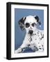 Usher-Rachael Hale-Framed Photographic Print