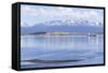 Ushuaia Anchorage, Tierra Del Fuego, Patagonia, Argentina-Peter Groenendijk-Framed Stretched Canvas