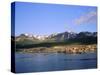 Ushuaia, the Southernmost Town in the Argentine, Argentina, South America-Geoff Renner-Stretched Canvas