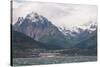 Ushuaia, Tierra Del Fuego, Argentina, South America-Michael Runkel-Stretched Canvas