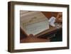 Using Library Card Catalog-William P. Gottlieb-Framed Photographic Print