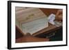 Using Library Card Catalog-William P. Gottlieb-Framed Photographic Print