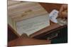 Using Library Card Catalog-William P. Gottlieb-Mounted Photographic Print