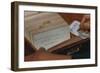 Using Library Card Catalog-William P. Gottlieb-Framed Photographic Print