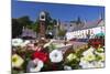 Usk Twyn Square, Usk, Monmouthshire, Wales, United Kingdom, Europe-Billy Stock-Mounted Photographic Print