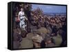 Uso Performer Entertaining a Crowd of Soldiers Aboard a Troop Transport Ship-Carl Mydans-Framed Stretched Canvas