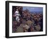 Uso Performer Entertaining a Crowd of Soldiers Aboard a Troop Transport Ship-Carl Mydans-Framed Photographic Print