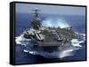 USS Carl Vinson in Indian Ocean During the Second Gulf War, Mar. 15, 2005-null-Framed Stretched Canvas