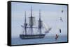 USS Constitution "Old Ironsides" Under Sail, Massachusetts Bay, Celebrating Its Bicentennial, 1997-null-Framed Stretched Canvas