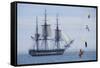 USS Constitution "Old Ironsides" Under Sail, Massachusetts Bay, Celebrating Its Bicentennial, 1997-null-Framed Stretched Canvas