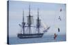 USS Constitution "Old Ironsides" Under Sail, Massachusetts Bay, Celebrating Its Bicentennial, 1997-null-Stretched Canvas