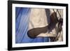 USS Constitution's Mainsail Detail, Boston-null-Framed Photographic Print