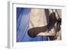 USS Constitution's Mainsail Detail, Boston-null-Framed Photographic Print