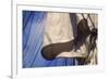 USS Constitution's Mainsail Detail, Boston-null-Framed Photographic Print