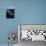 Uss Enterprise-null-Photographic Print displayed on a wall