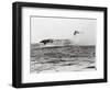 USS Lexington's Crew Diving into Sea-null-Framed Photographic Print