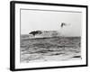 USS Lexington's Crew Diving into Sea-null-Framed Photographic Print